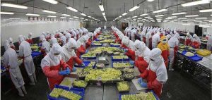 食品廠無菌車間生產(chan) 要求